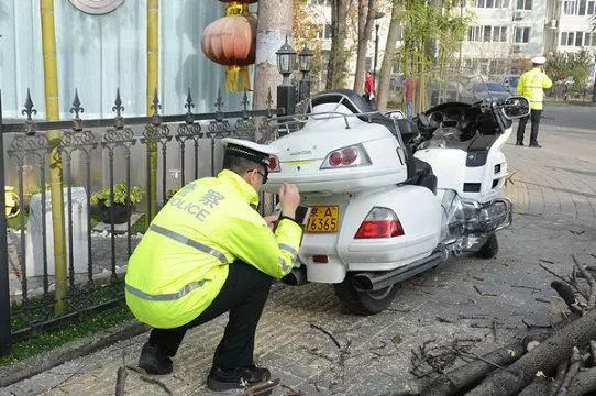 該車駕駛員將因使用偽造機動車號牌受到5000元罰款,拘留15天,駕駛證記