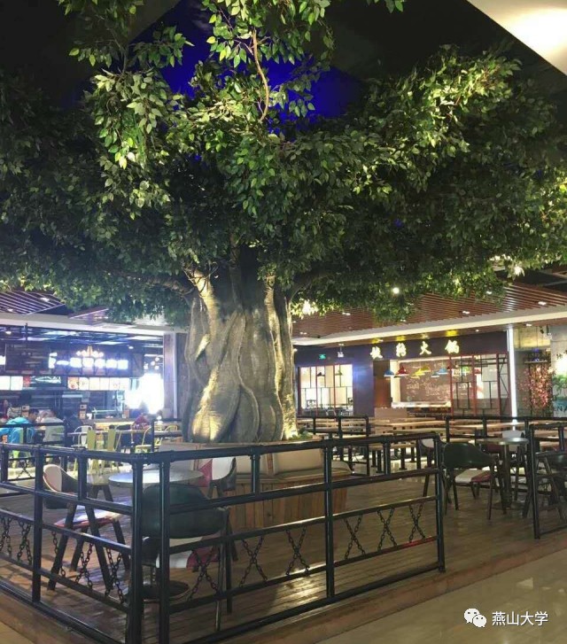 南京榕树下餐厅图片