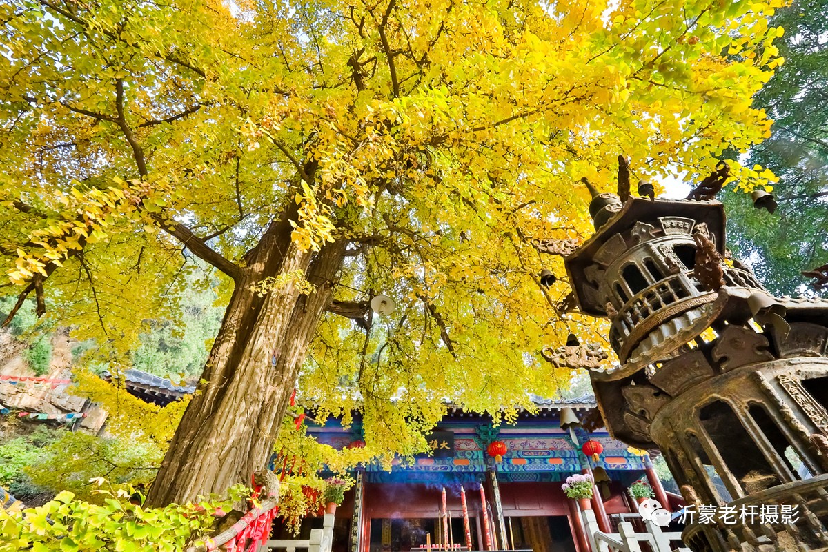 沂水灵泉寺旅游区图片