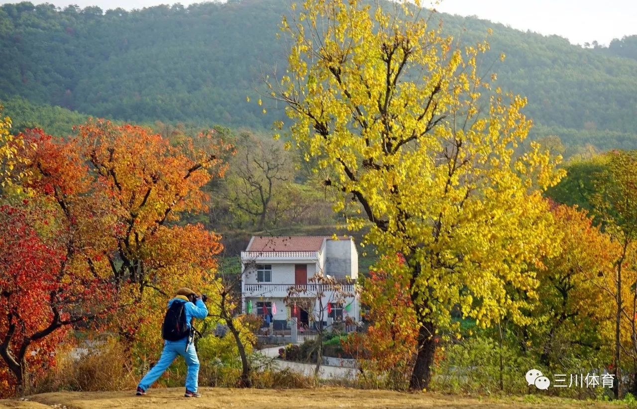 11月1819日秋落大别山湖北大悟赏银杏乌桕红叶三川自驾部落