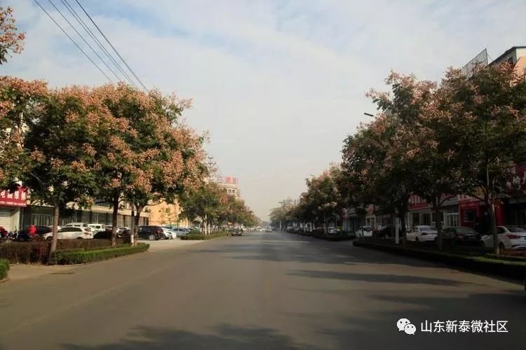 新泰市村落地名志新泰市青云街道银河社区