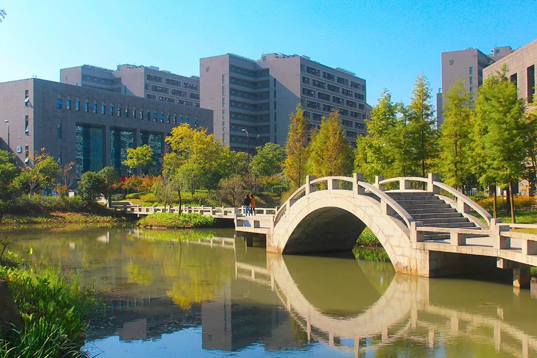 双十一前夜明天我们一起脱单吧杭州师范大学