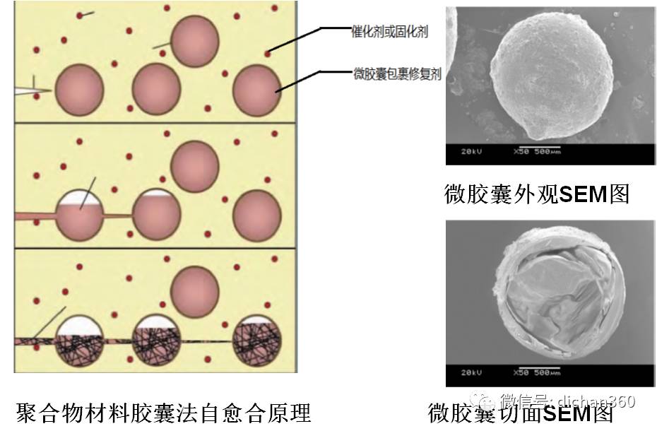 微胶囊自愈合是将修复剂封装到微胶囊中,在拌合时均匀地分散到混凝土