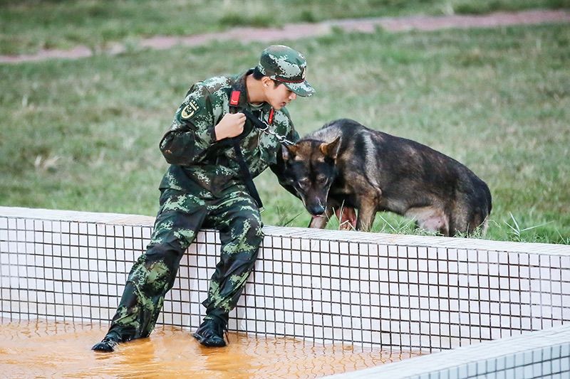 赵一诺 警犬图片