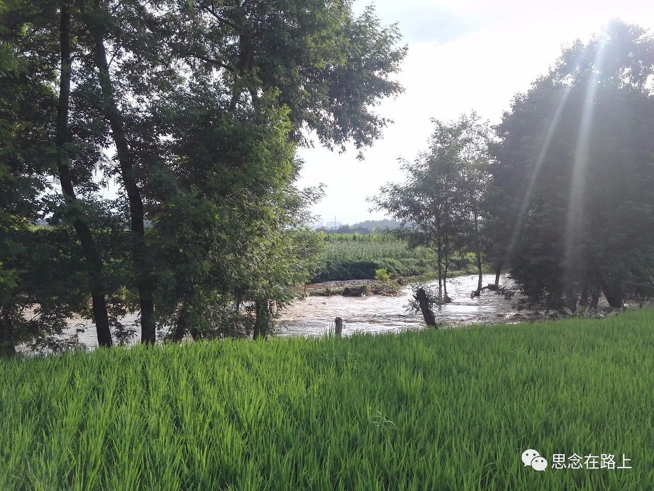 孕育了大明督师杨绳武等杰出人物,走进禹门寺旁的杨绳武祠堂,也许可以