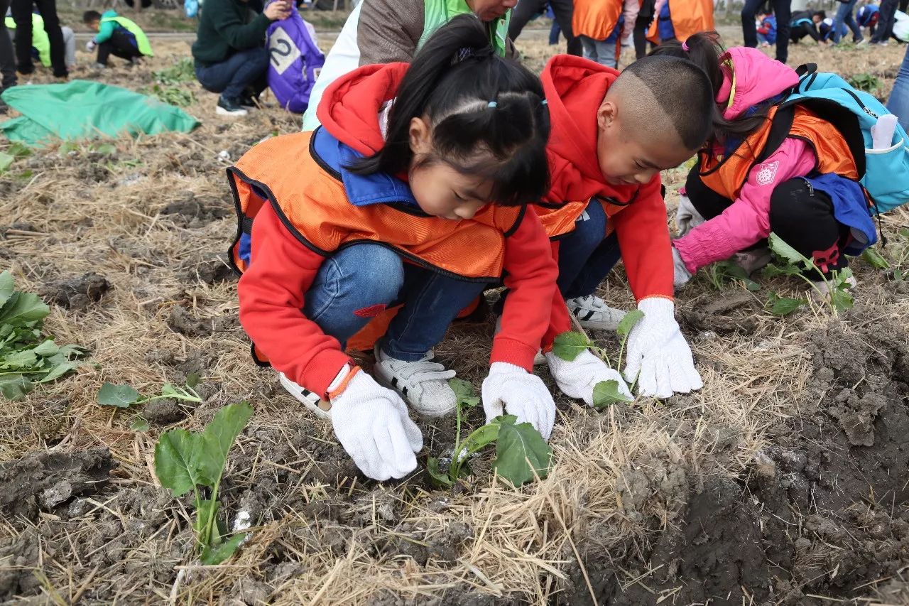 小昆山镇今天举行的这个活动让大人小孩都跃跃欲试