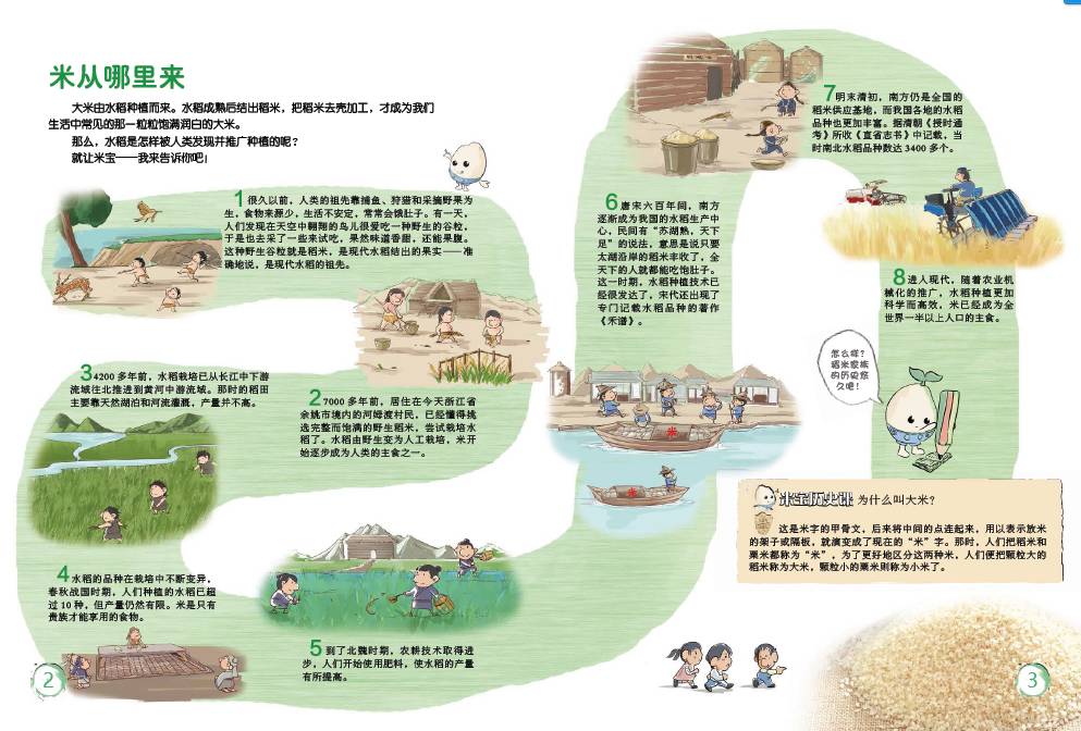 大米的来历故事图片图片