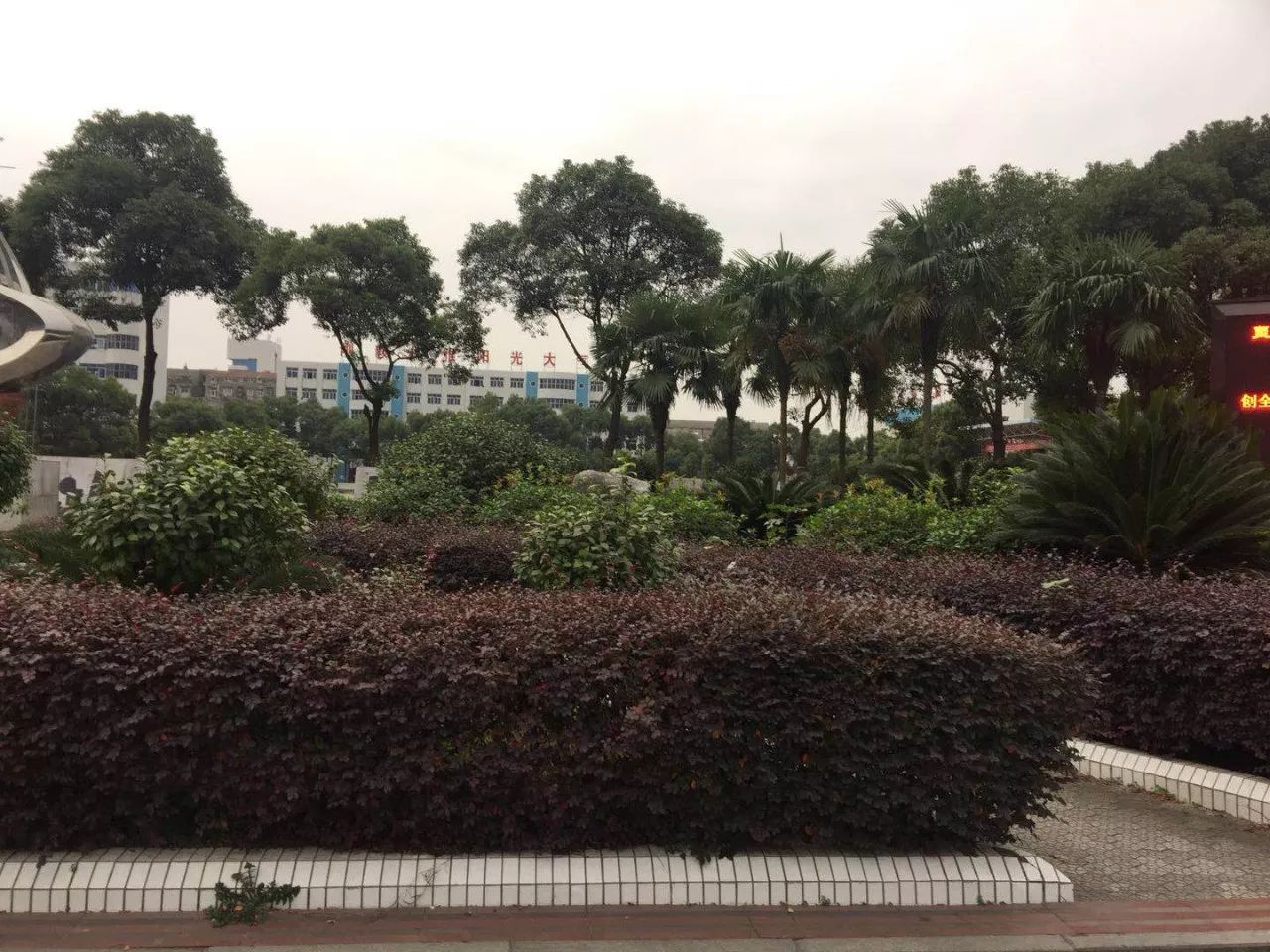 荊州江陵中學校園一角.