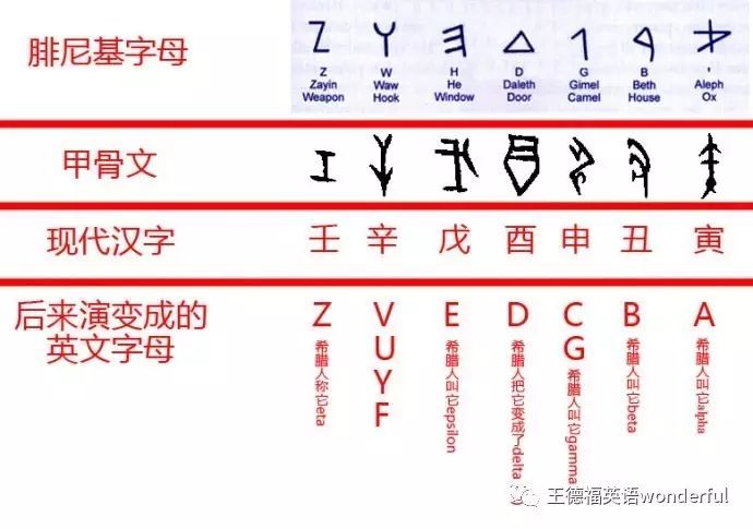 英语小知识英文26个字母起源探秘下