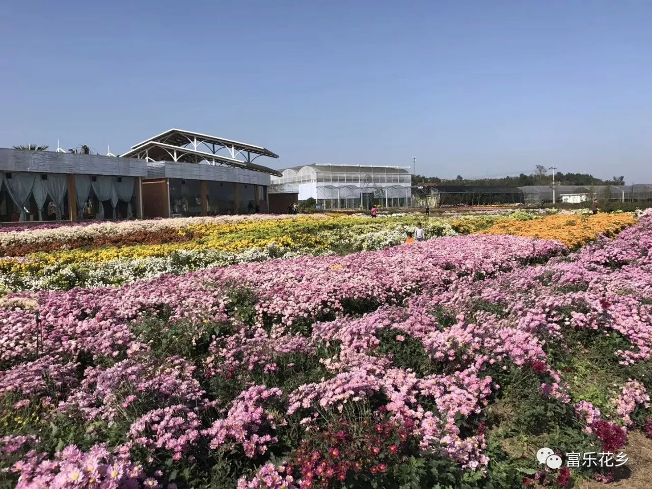 逛累了,進入蘭花園精心打造的生態餐廳,各種以蘭花為主題的特色美食