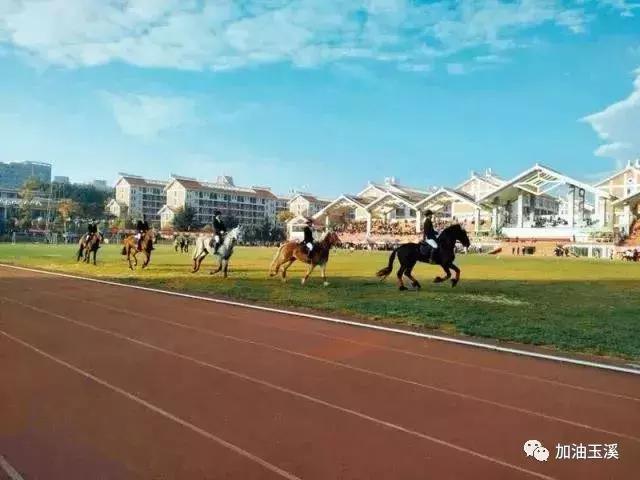 云南民族大学体育学院图片