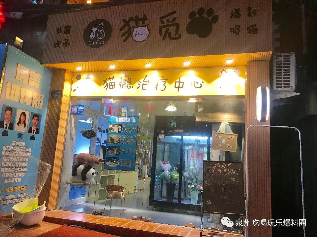 猫咪咖啡馆来了!就在华大学生街,点杯饮料随便撸,wi