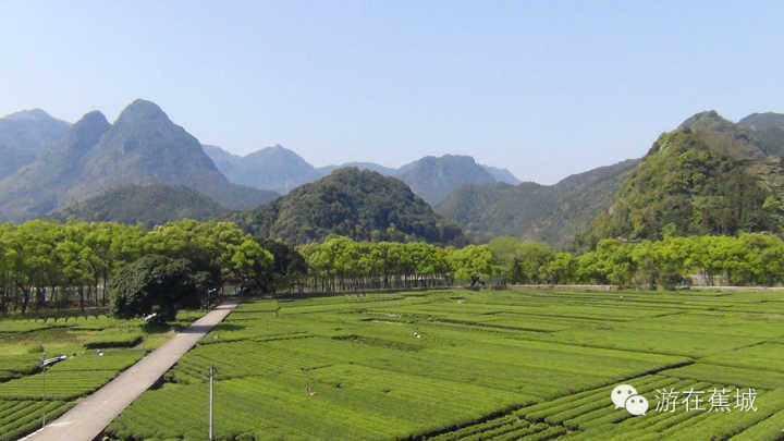 "方宅十余亩,草屋八九间.