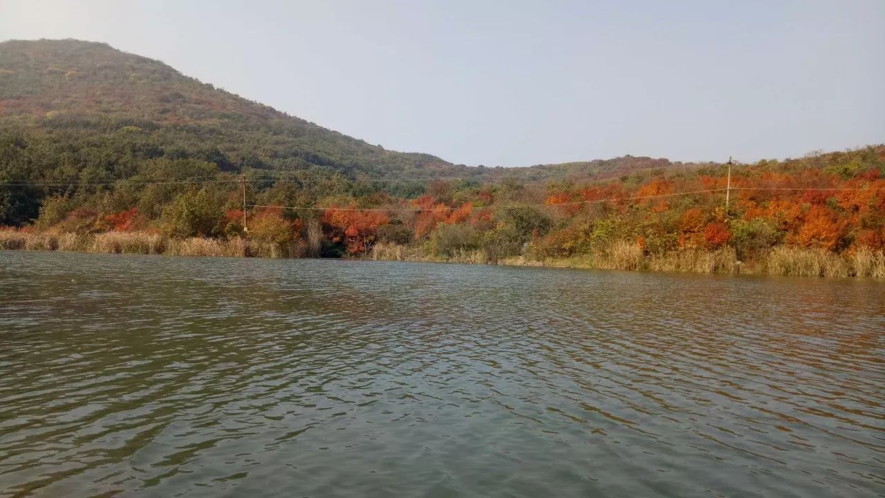 关注太美了从卧牛湖到狼巷迷谷抓住凤阳最后的秋意