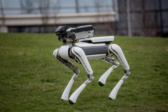 波士顿动力战斗机器人图片