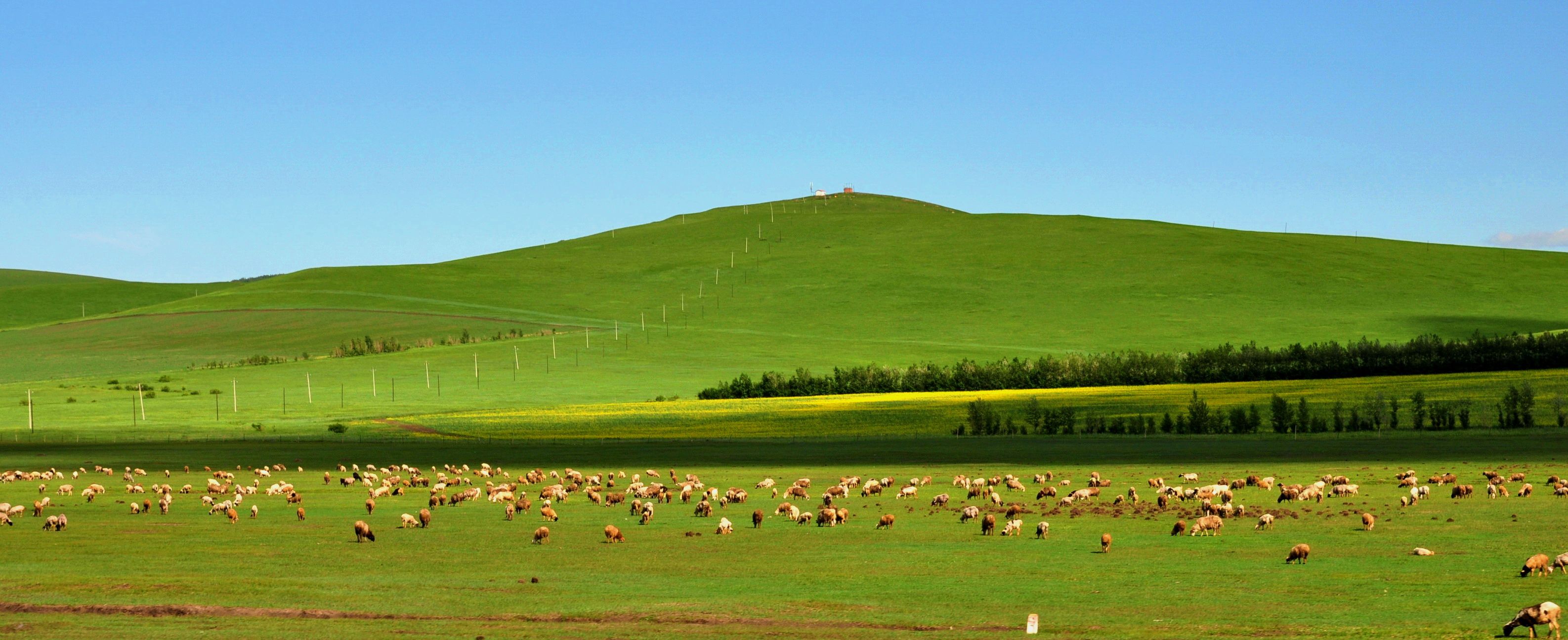 游客认为内蒙古收纳了中国各地的冰雪美景,辽阔的草原,连绵的群山