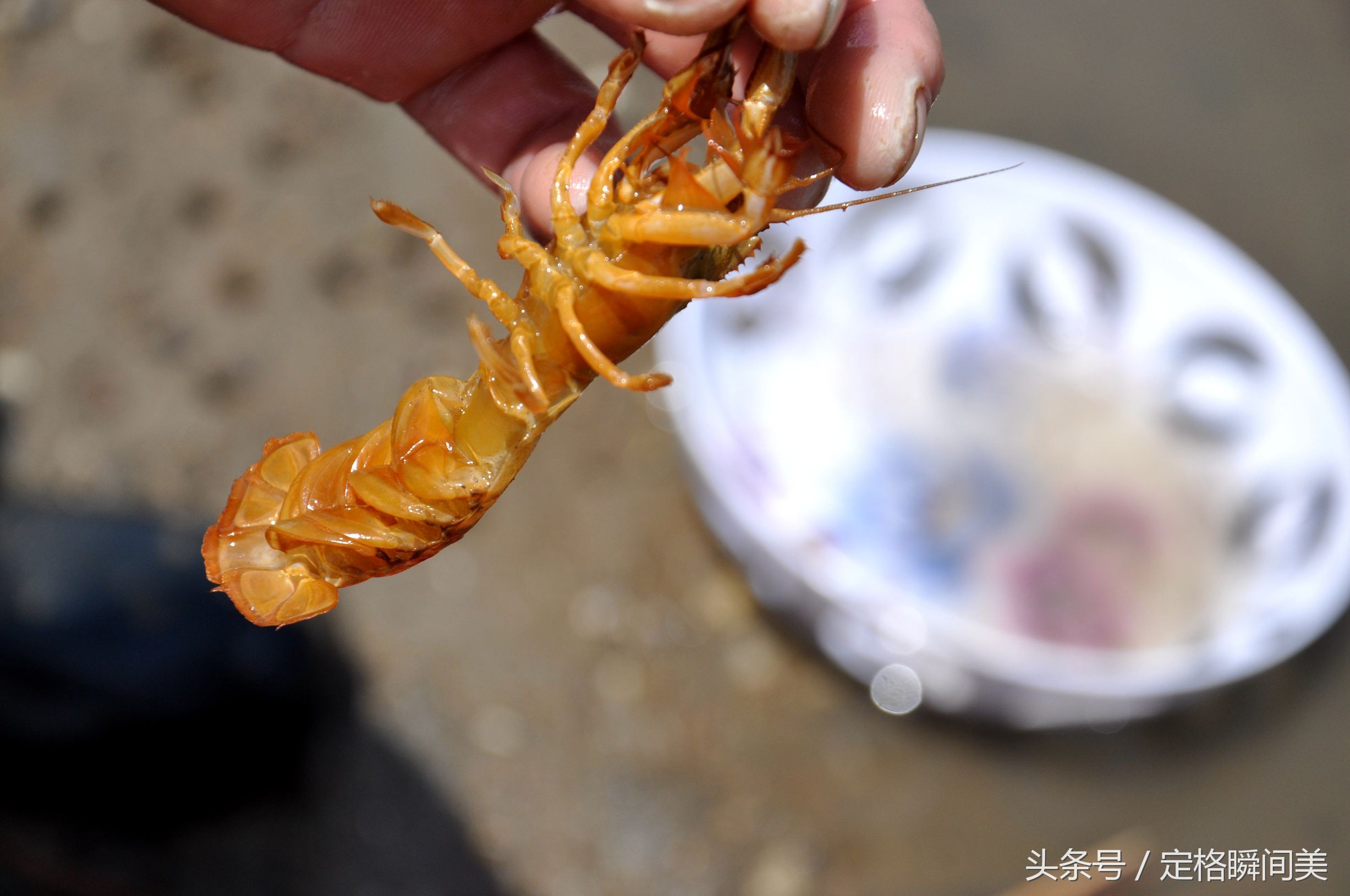 釣蝦虎,首先用鐵鍬在泥灘上剷出一片平地,便會出現手指粗的蝦虎窩