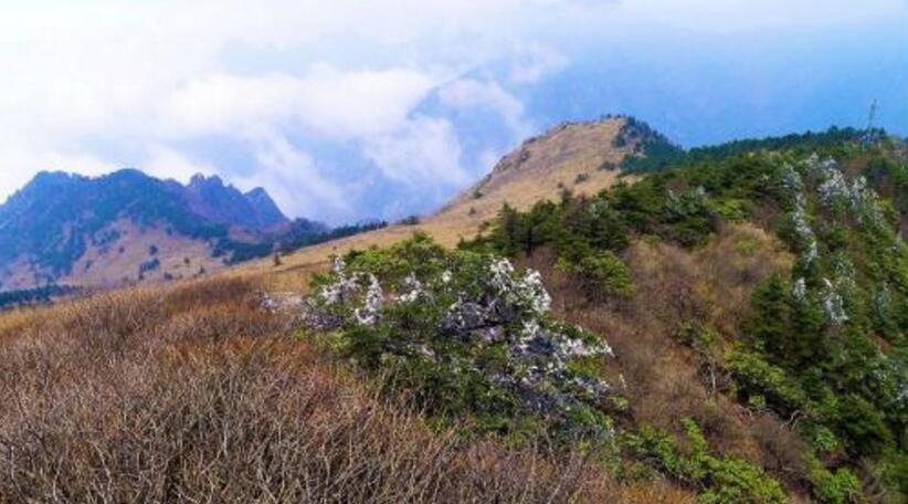 秦嶺高山草甸一日登山線路攻略