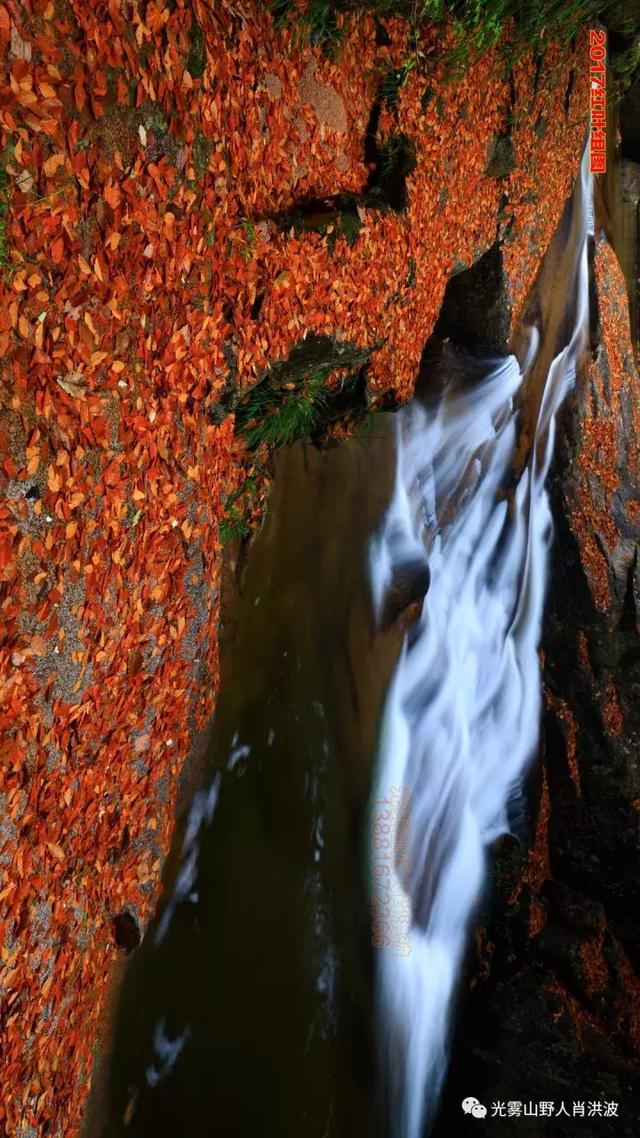 2017地拍南江光霧山綠水青山最美紅葉光霧山100p海量高清圖