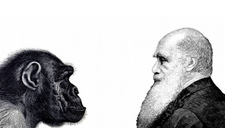 达尔文与猩猩认知的混乱不是创造了那些怪物而是唤醒了情绪当然,也不