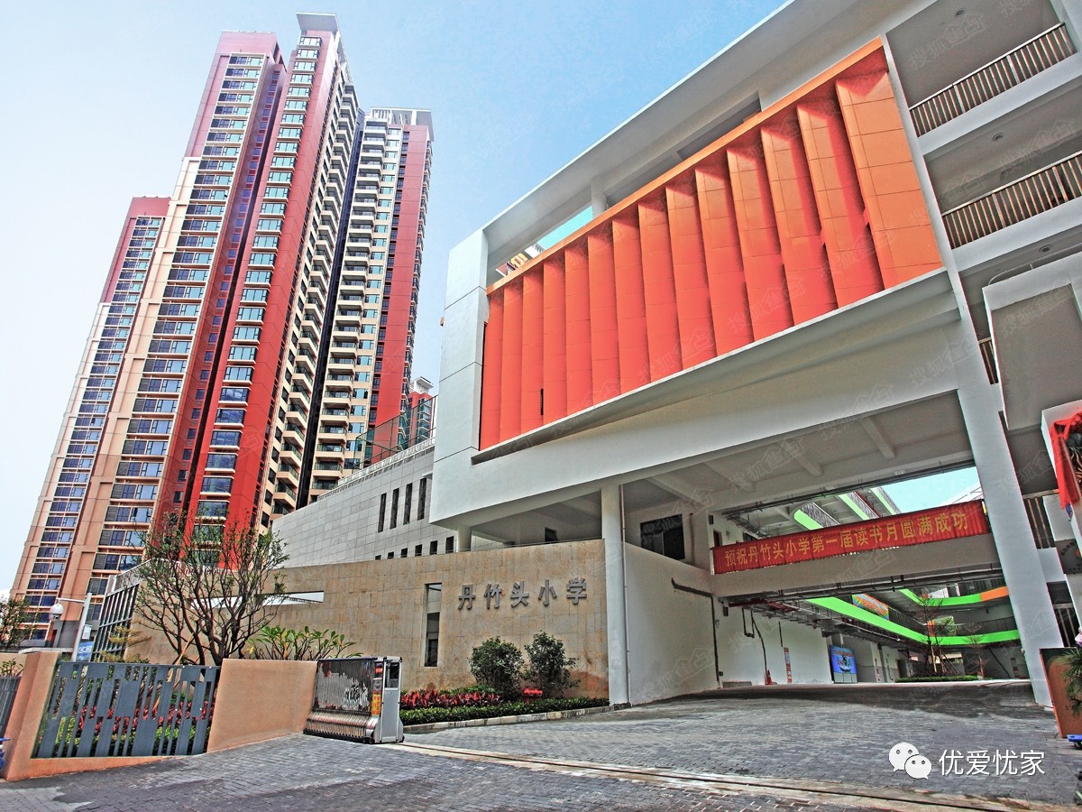 沙湾小学,沙湾实验学校,可园中学,康桥外国语学校,深圳外国语学校布吉