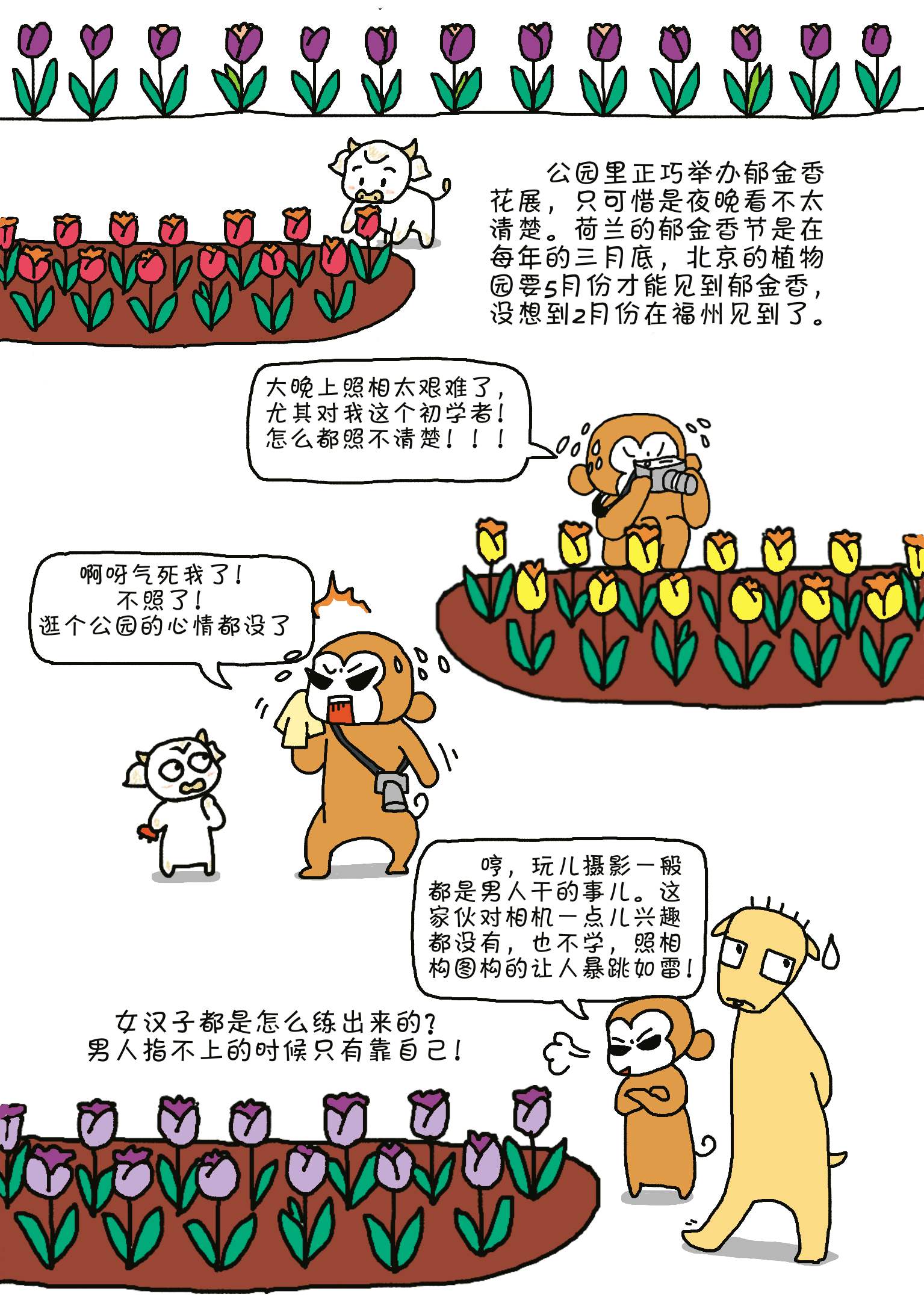 四联漫画生物多样性图片