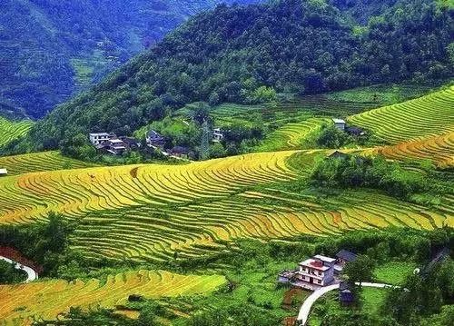 【陕西乡村旅游十百千品牌推荐】十大乡村田园景观之八|岚皋南宫袈裟