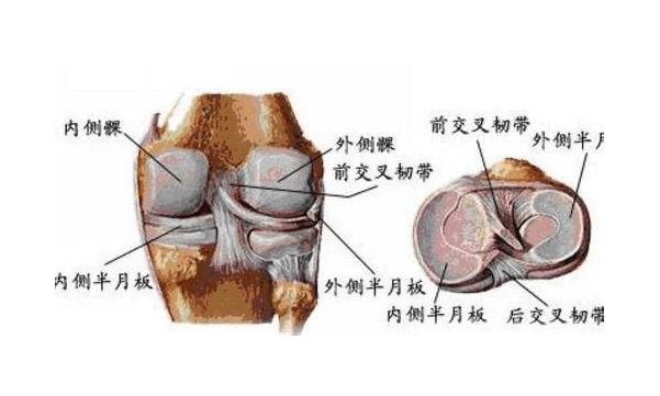 后来又补了两周,算起来总共用了35天的膏药,做mr说外侧半月板前角撕裂