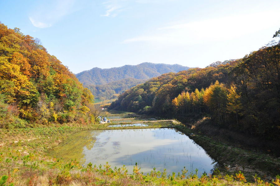 天水李子园图片