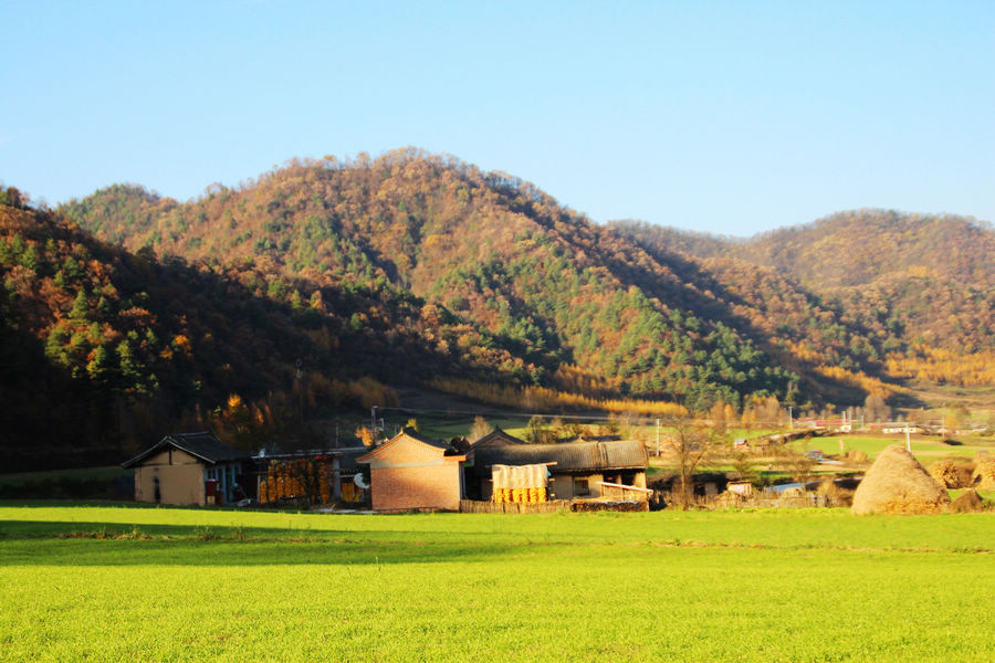 天水李子园图片