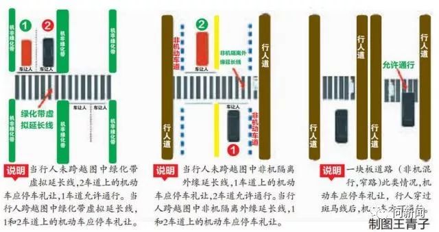 礼让行人的标准图讲解图片