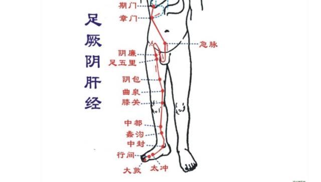 人体的肝经又叫足厥阴肝经,它经过腿内侧,一侧有14个穴位