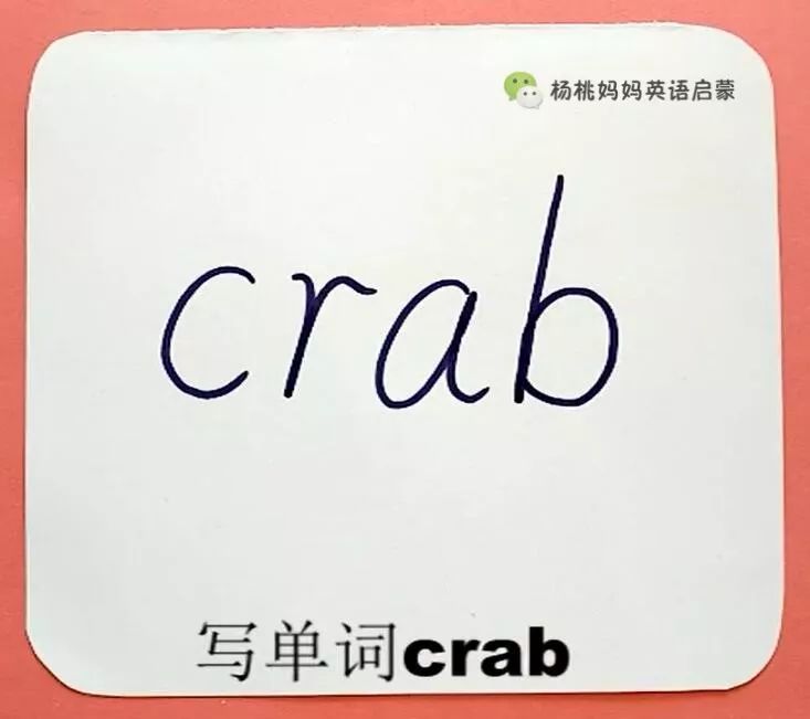 螃蟹用英语怎么说图片