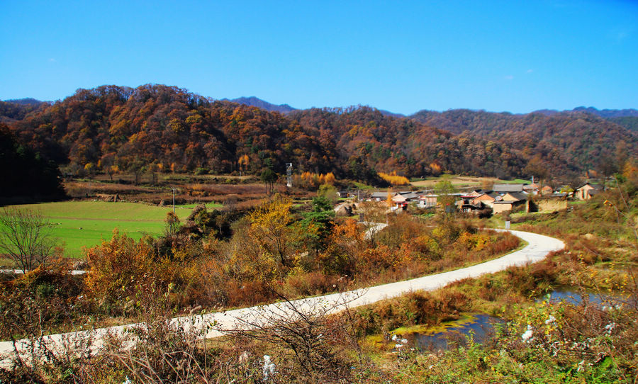 天水李子园图片