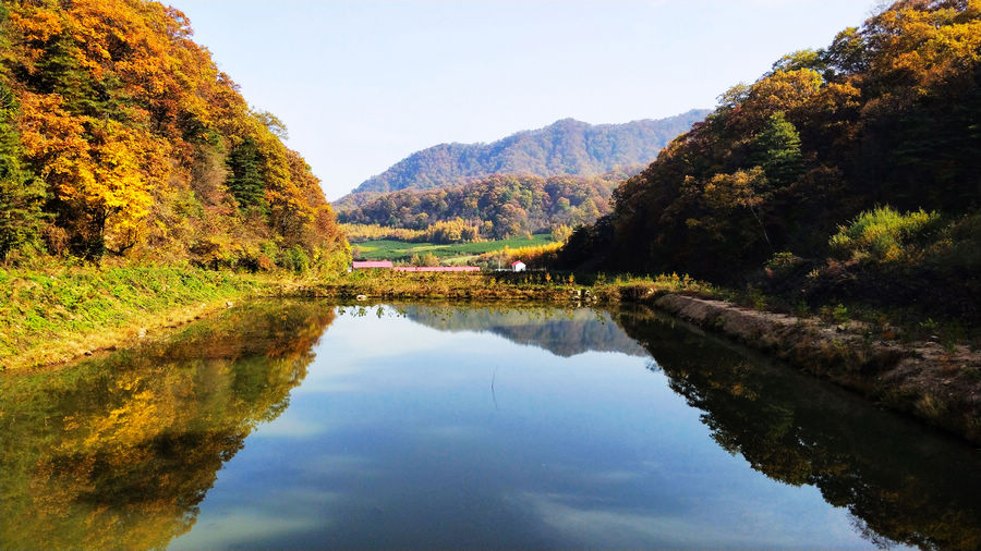 天水李子园图片