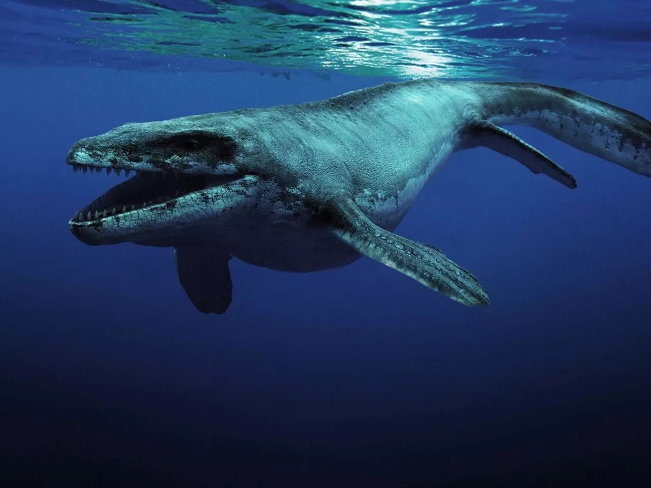 滑齿龙:侏罗纪晚期肉食性海生爬行动物