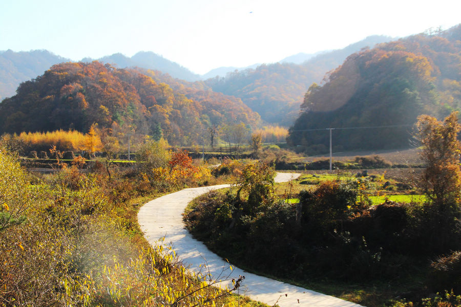 天水李子园图片