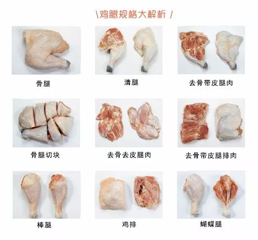 鸡腿的关节构造图图片