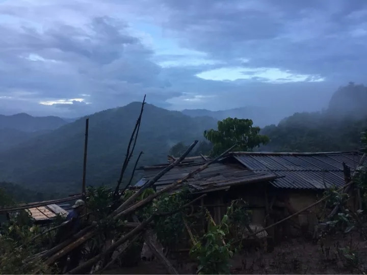 魅力茶山实地踩点愚人之见小聊曼松