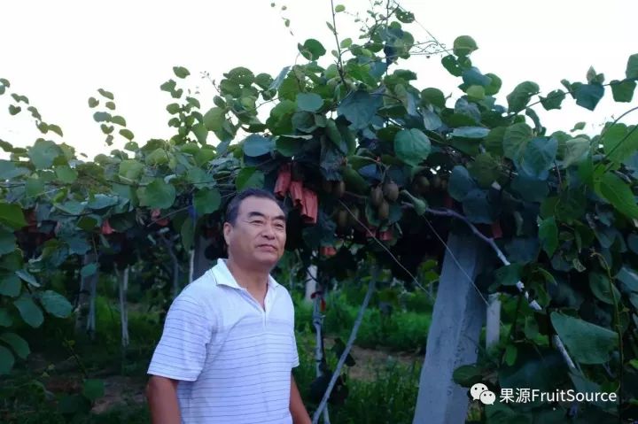 小我大愛果源攜手招聘兄弟會助力陝西周至獼猴桃