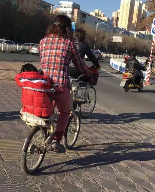 网友以为是妈妈骑着自行车带孩子上学,上前一看,笑哭!