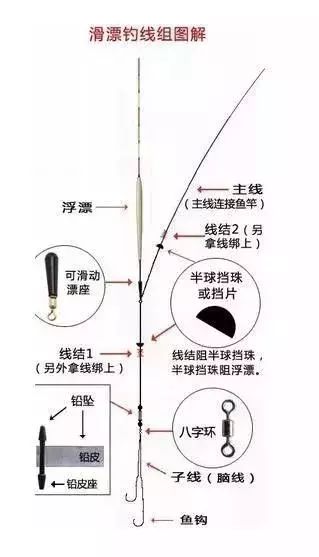 李大毛滑漂钓法图解图片