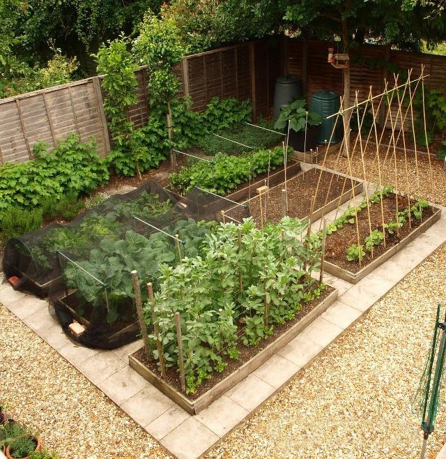 有了这样的庭院菜园,我也愿意在城市当农民!