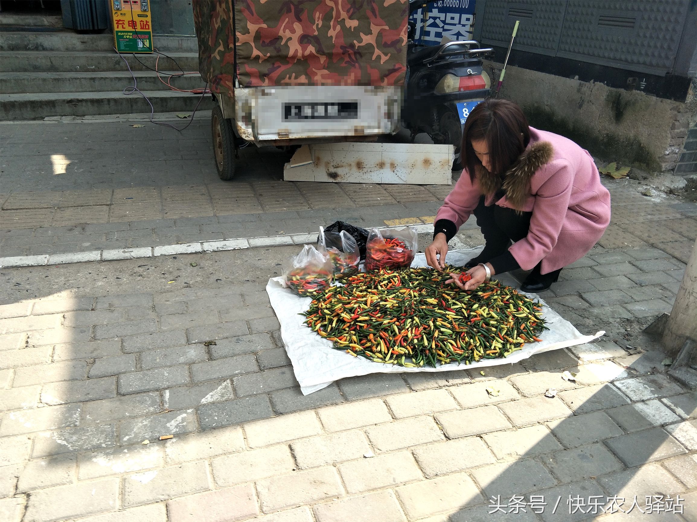 還有遮陽傘,還有椅子坐,不管生意怎麼樣,也算幸福的小販了!