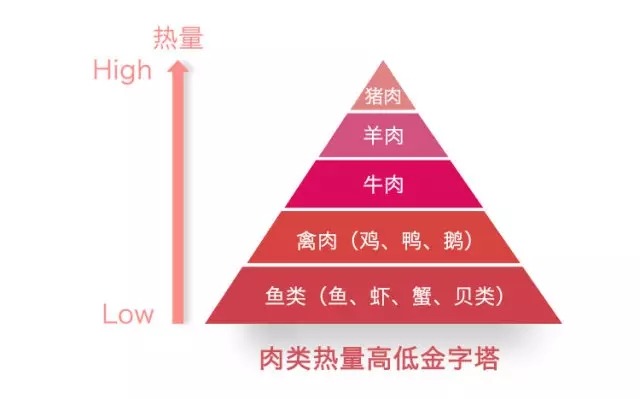 食物熱量金字塔,送給正在減肥的你