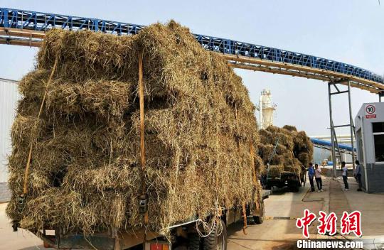 忙着将打捆好的稻草,运送到该县工业园区的湖南万华生态板业有限公司