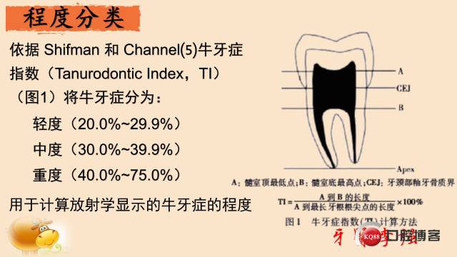 牛的牙齿图片 结构图图片