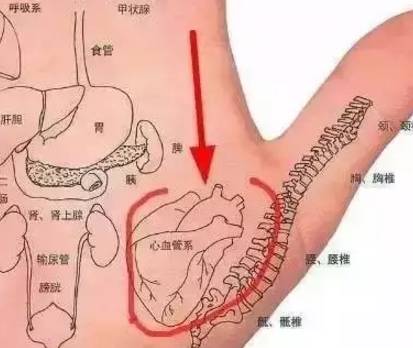 赶紧收藏好