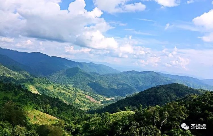 古今茶山大搜罗,您想要的都在这里(建议收藏)