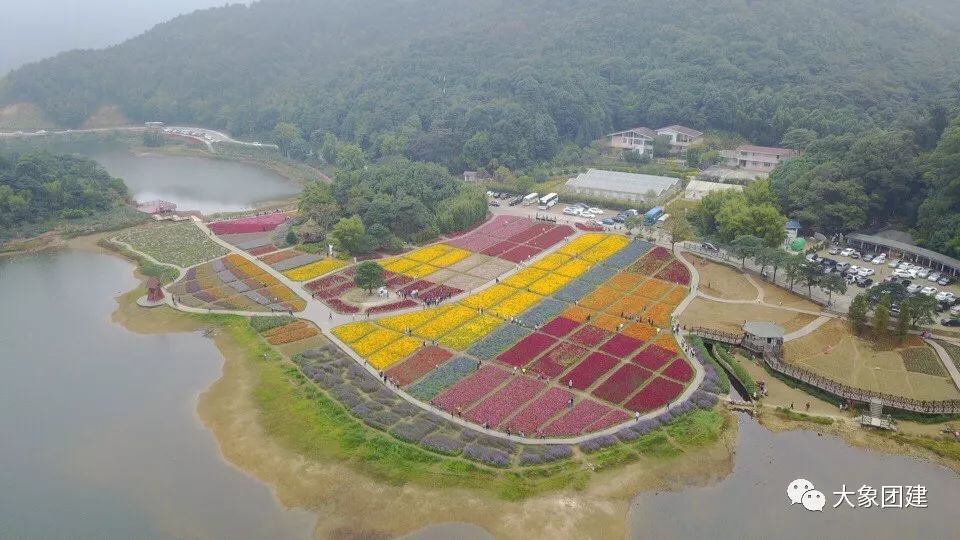 石门天池花海的鸟瞰图